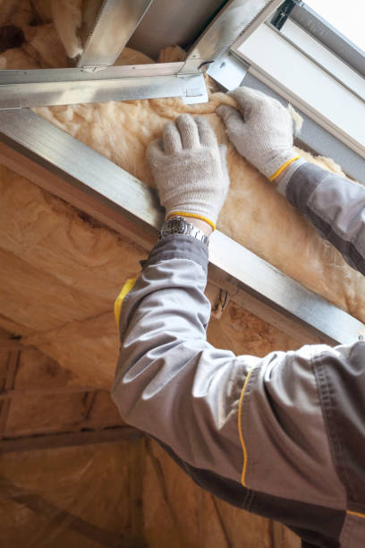 Best Insulation Installation Services in East Ithaca, NY